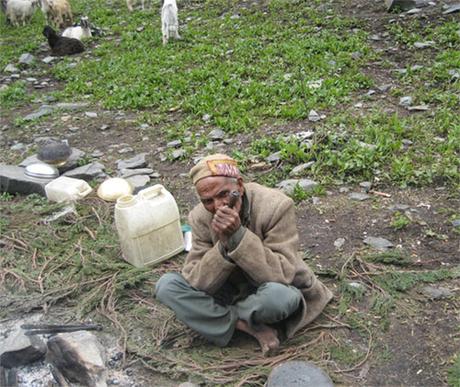 The Gaddi community The Gaddi community