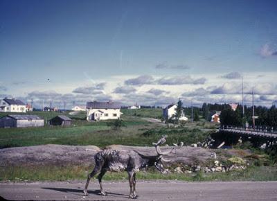 FINLAND, 1952: Midnight Sun and Summer Olympics,  from the Memoir of Carolyn T. Arnold