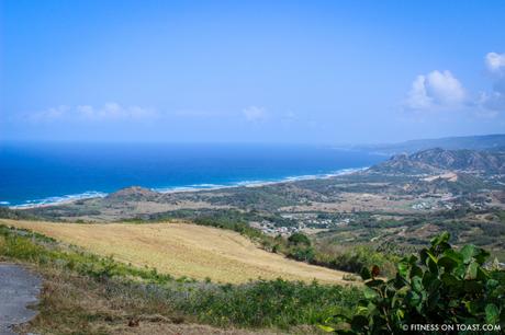 THE BENEFITS OF SAILING ! Fitness On Toast Faya Blog Girl Healthy Workout Active Health Travel Helly Hansen Barbados Sailing Team Concise Caribbean Destination-27