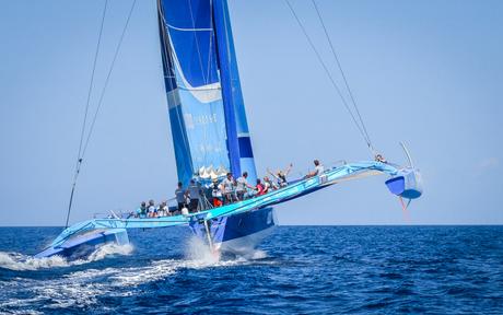 THE BENEFITS OF SAILING ! CONCISE PRO IMAGE-2