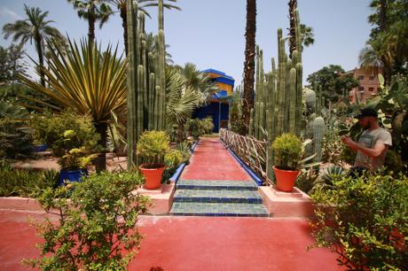 Morocco’s Best City: Is it Fez or Marrakech? Jardin Majorelle's garden