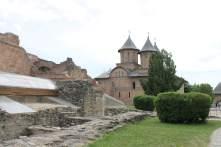 IMG_6124 IMG_6124