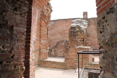 IMG_6130 IMG_6130