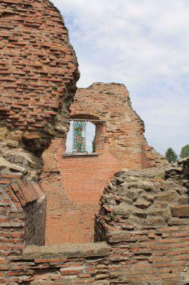 IMG_6131 IMG_6131