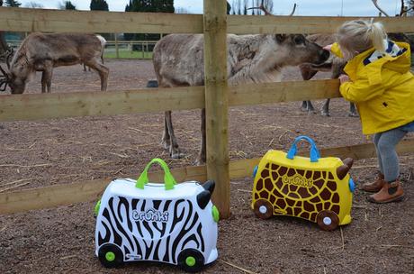 Days Out | Wild Place Project with Trunki
