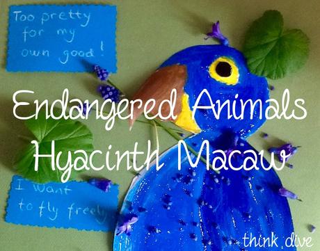 Hyacinth Macaw – Art and Science
