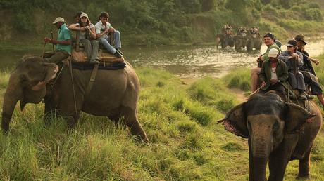 Chitwan national park Chitwan national park