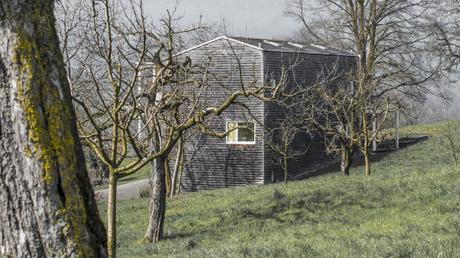 What winter left behind _DSC7457-3