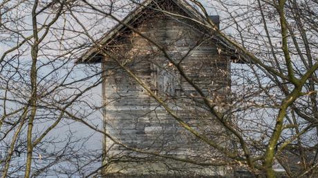 What winter left behind _DSC7510-2