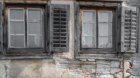 What winter left behind _DSC7450-2