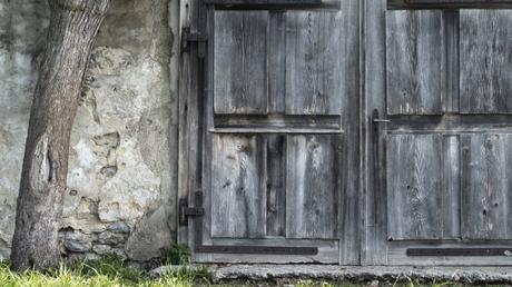 What winter left behind _DSC7455