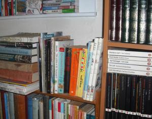 A Small Book Shelf
