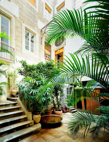 Indoor outdoor garden by concrete staircase 