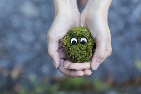35+ Stupendous Ways To Stay Green And Protect Our Planet moss-ecology-environment-protection