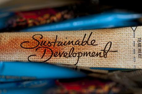 40+ Easy and Simple Steps You Need To Know Today To Live Sustainable Life sustainable-development