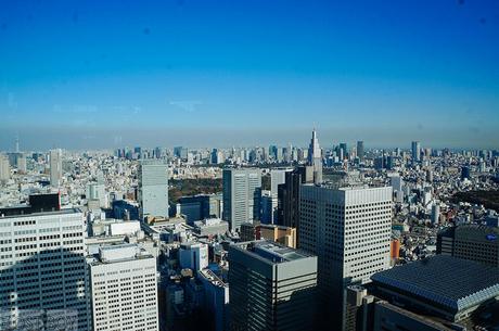 Western Tokyo in a Day: Harajuku, Shibuya, and Shinjuku
