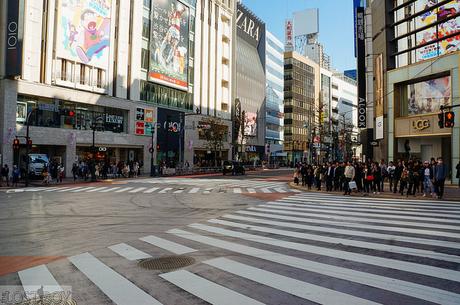 Western Tokyo in a Day: Harajuku, Shibuya, and Shinjuku