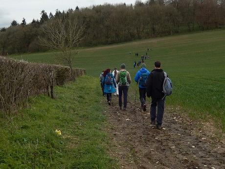 Walk Leading from Pensford