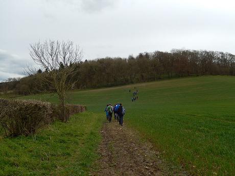 Walk Leading from Pensford