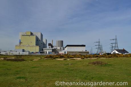 Dungeness Nuclear Power Station (2)