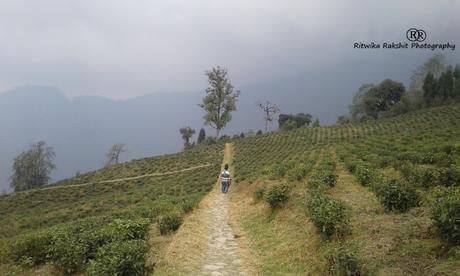 10 Best Things to do in West Sikkim 10 Best Things to do in West Sikkim