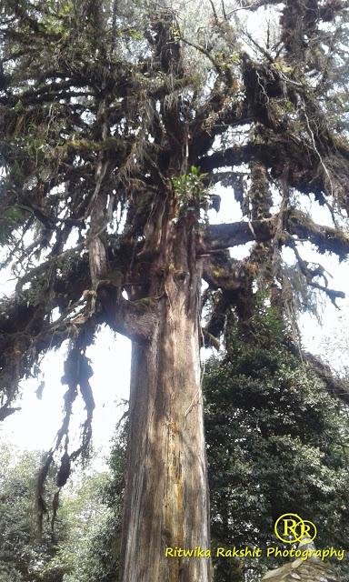 10 Best Things to do in West Sikkim 10 Best Things to do in West Sikkim