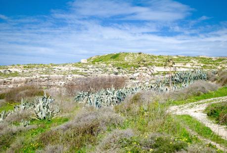 Gozo Landscape 2