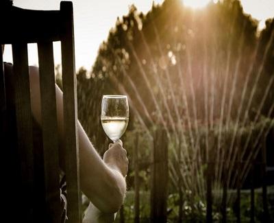 10 DIY Tips for Any Landscaping Project 10 DIY Tips for Any Landscaping Project1