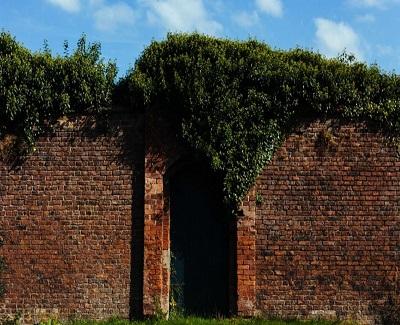 10 DIY Tips for Any Landscaping Project 10 DIY Tips for Any Landscaping Project2