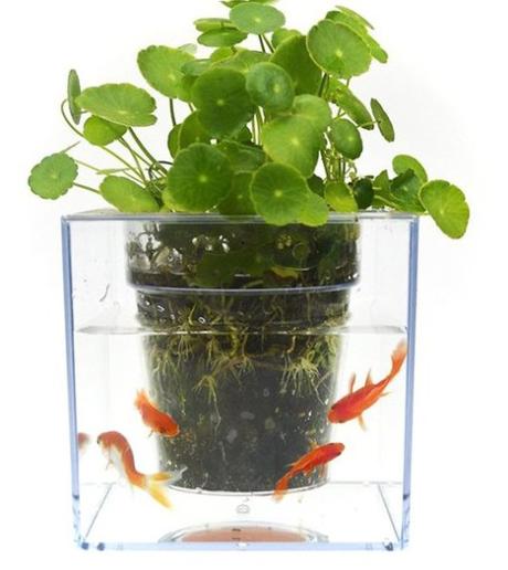 Fish Tank Flowerpot