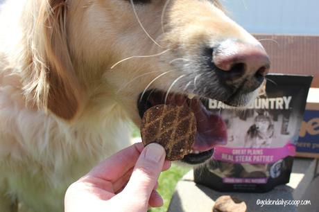 gluten-free grain free dog treats review