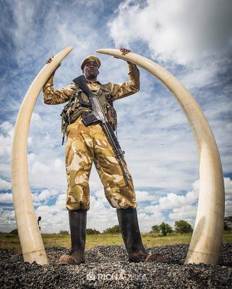 kenyas ecotourism essay kenyas ecotourism essay