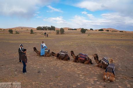 Majestic Morocco: The Sahara Desert Experience