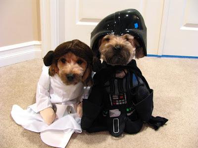 #Photo: May the Fourth be with you #dog #MayTheFourthBeWithYou