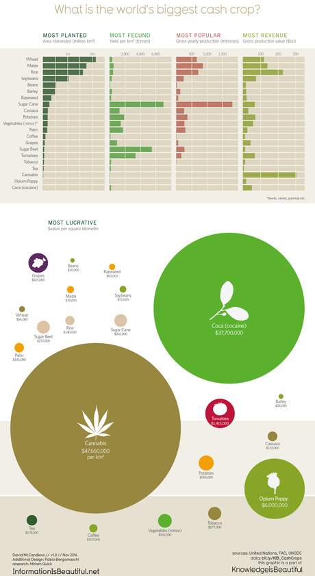 The World’s Most Valuable Cash Crops