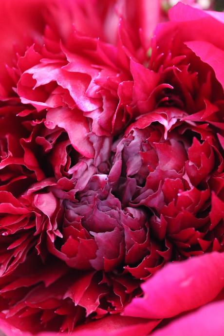 Red Bridal Bouquet Red Bridal Bouquet