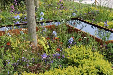 RHS Malvern Spring Show 2016 The UCARE Garden