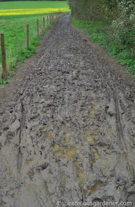 Mud, South Downs Way