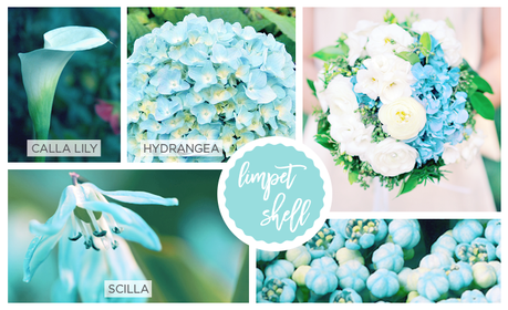 Spring Pantone Color Inspired Flowers limpet-shell-pantone-2016