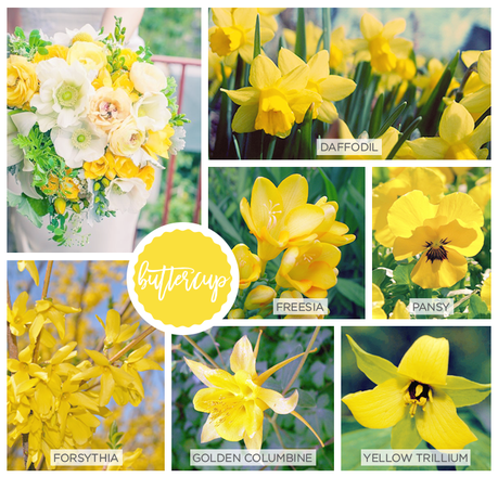 Spring Pantone Color Inspired Flowers buttercup-pantone-2016