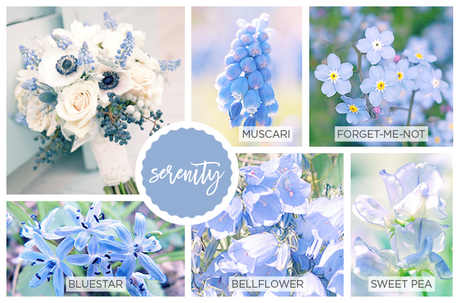 Spring Pantone Color Inspired Flowers serenity-pantone-2016