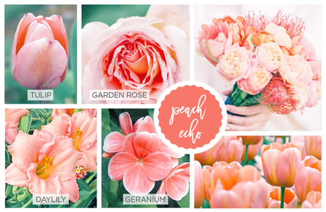 Spring Pantone Color Inspired Flowers peach-echo-pantone-2016
