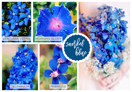Spring Pantone Color Inspired Flowers snorkel-blue-pantone-2016