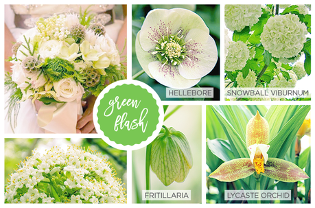Spring Pantone Color Inspired Flowers green-flash-pantone-2016