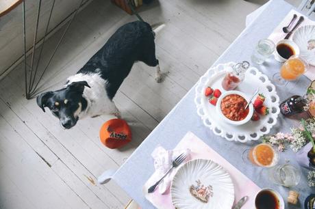 Homemade Grain-Free Dog Treats for Julep’s 3rd Birthday Rhubarb Season by With The Grains 21