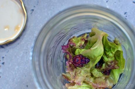 On not playing tourist in Barbados Good news: it must be organic, because this froggie friend spent a couple of days in the lettuce before being discovered