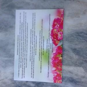 MAY 2016 LUXEPINAPPLE REVIEW IMG_7023
