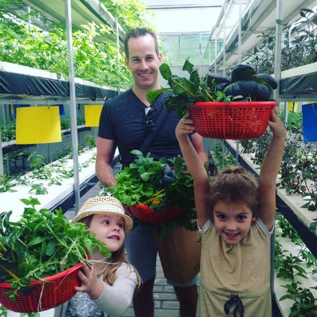 Shaun the Sheep, Poisonous Plants and Butter Lettuce Bouquets. This is China. Picking Veges in Xi'an