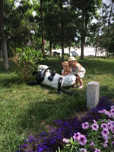 Shaun the Sheep, Poisonous Plants and Butter Lettuce Bouquets. This is China. Shaun the sheep in China