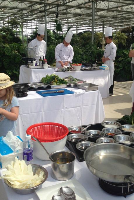 Shaun the Sheep, Poisonous Plants and Butter Lettuce Bouquets. This is China. Cooking at Agricultural Farm in Xian